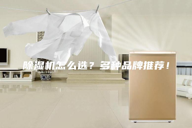 除濕機怎么選？多種品牌推薦！