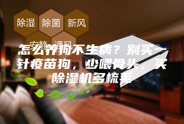 怎么養(yǎng)狗不生??？別買一針疫苗狗，少喂骨頭，買除濕機多梳毛