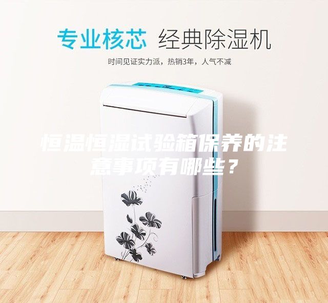 恒溫恒濕試驗箱保養(yǎng)的注意事項有哪些？