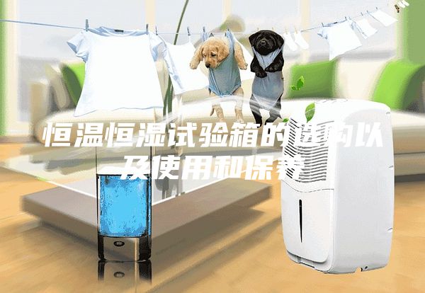 恒溫恒濕試驗(yàn)箱的選購以及使用和保養(yǎng)