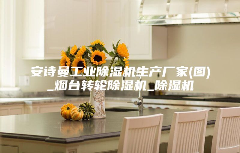 安詩曼工業(yè)除濕機(jī)生產(chǎn)廠家(圖)_煙臺轉(zhuǎn)輪除濕機(jī)_除濕機(jī)