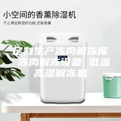 定制生產(chǎn)凍肉解凍庫 凍肉解凍設(shè)備 低溫高濕解凍機(jī)