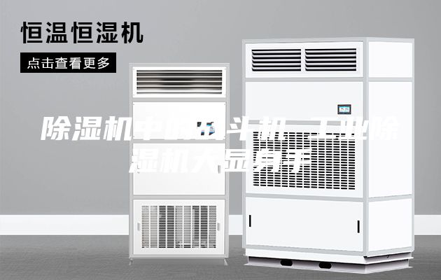 除濕機(jī)中的戰(zhàn)斗機(jī) 工業(yè)除濕機(jī)大顯身手