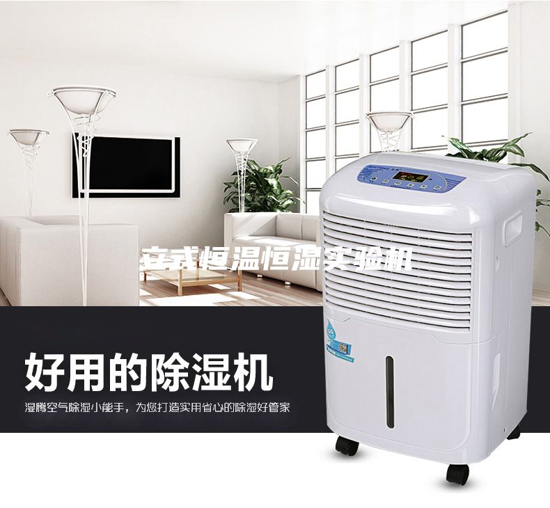 立式恒溫恒濕實(shí)驗(yàn)機(jī)