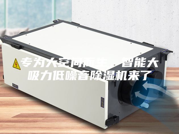 專為大空間而生，智能大吸力低噪音除濕機來了