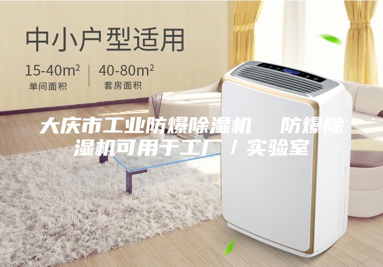 大慶市工業(yè)防爆除濕機  防爆除濕機可用于工廠／實驗室