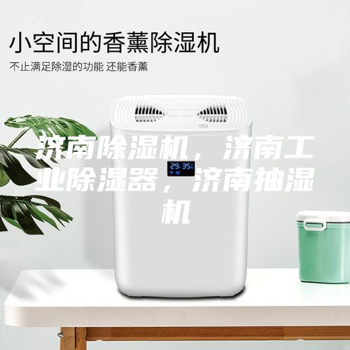 濟南除濕機，濟南工業(yè)除濕器，濟南抽濕機