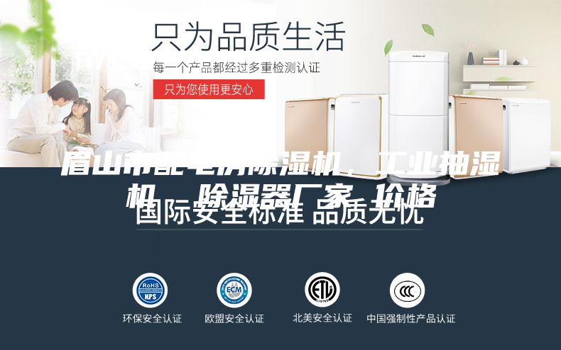 眉山市配電房除濕機(jī)，工業(yè)抽濕機(jī)  除濕器廠家 價(jià)格