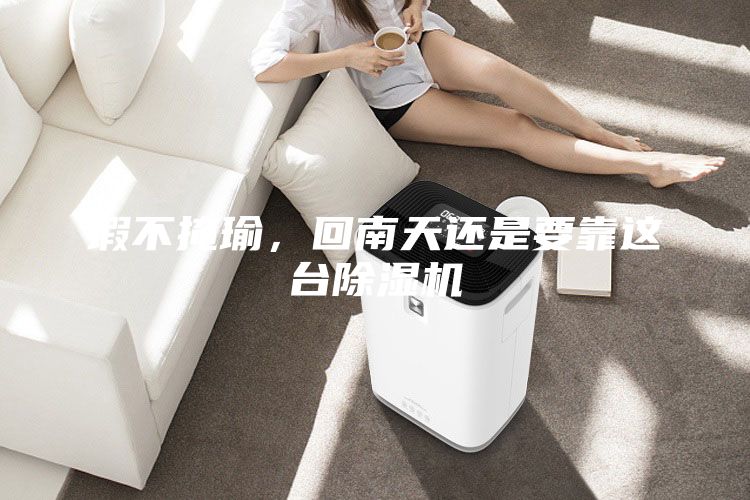 瑕不掩瑜，回南天還是要靠這臺(tái)除濕機(jī)