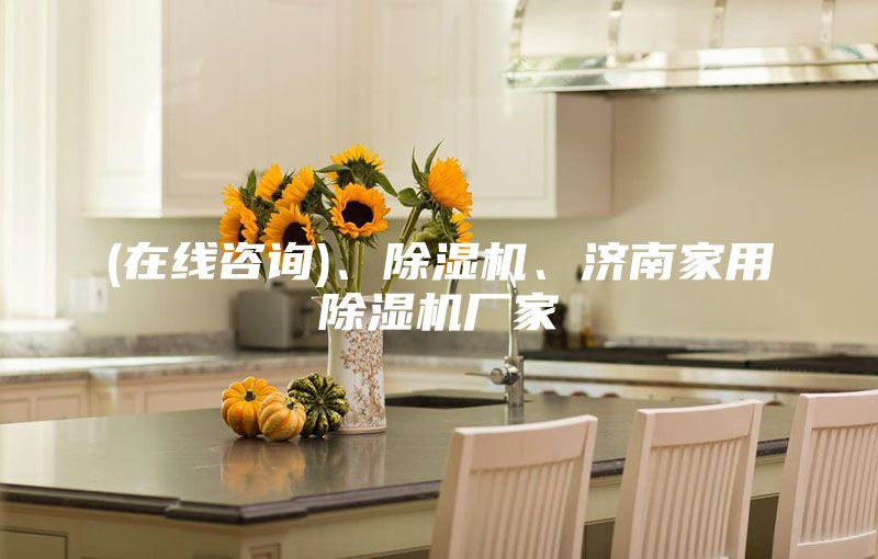 (在線咨詢)、除濕機(jī)、濟(jì)南家用除濕機(jī)廠家