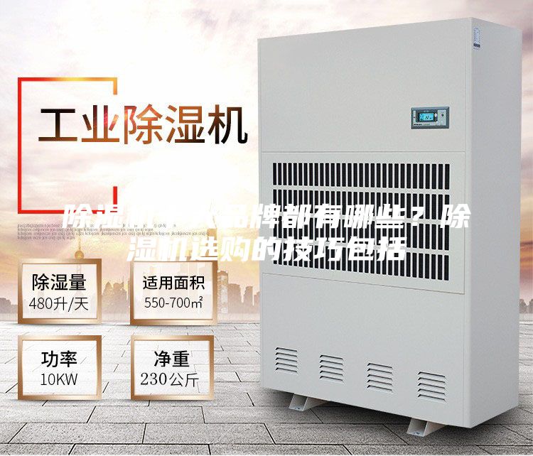 除濕機十大品牌都有哪些？除濕機選購的技巧包括