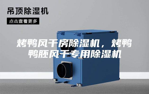 烤鴨風(fēng)干房除濕機(jī)，烤鴨鴨胚風(fēng)干專用除濕機(jī)