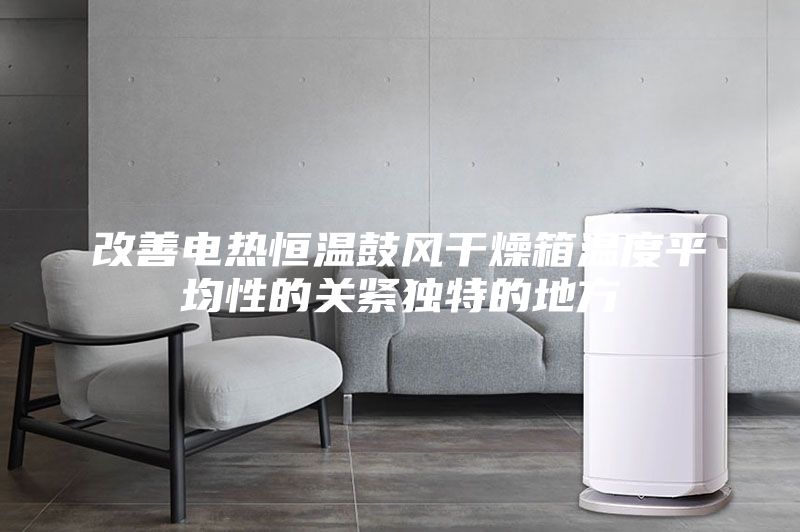 改善電熱恒溫鼓風(fēng)干燥箱溫度平均性的關(guān)緊獨特的地方