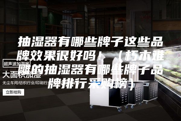 抽濕器有哪些牌子這些品牌效果很好嗎?。ㄐ嗄倦y雕的抽濕器有哪些牌子品牌排行采購榜）