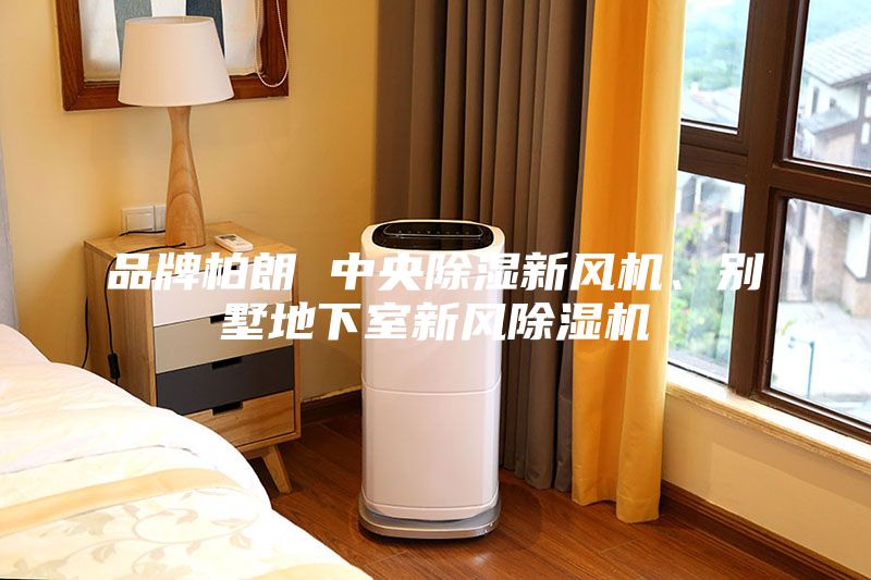 品牌柏朗 中央除濕新風(fēng)機(jī)、別墅地下室新風(fēng)除濕機(jī)