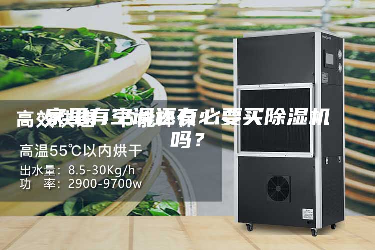 家里有空調(diào)還有必要買除濕機(jī)嗎？