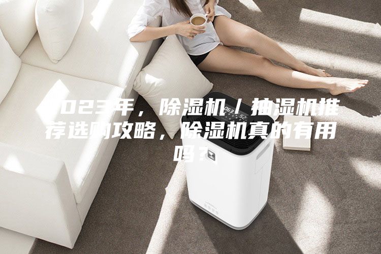 2023年，除濕機／抽濕機推薦選購攻略，除濕機真的有用嗎？