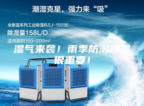 濕氣來襲！雨季防潮除濕很重要！