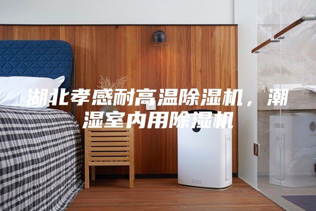 湖北孝感耐高溫除濕機(jī)，潮濕室內(nèi)用除濕機(jī)