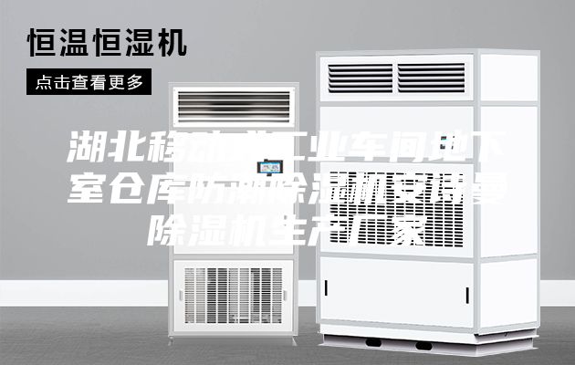 湖北移動式工業(yè)車間地下室倉庫防潮除濕機(jī)安詩曼除濕機(jī)生產(chǎn)廠家