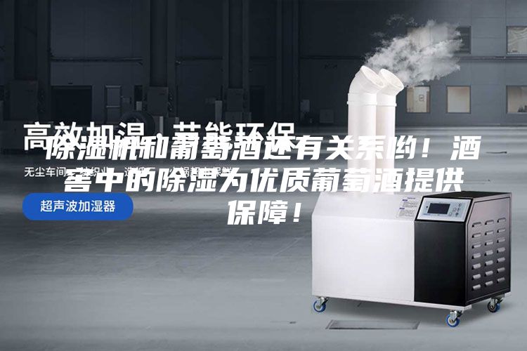 除濕機和葡萄酒還有關(guān)系喲！酒窖中的除濕為優(yōu)質(zhì)葡萄酒提供保障！