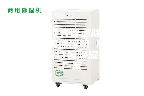 武漢吊頂式管道除濕機，游泳館用抽濕機 除濕防潮設(shè)備安詩曼除濕機生產(chǎn)廠家
