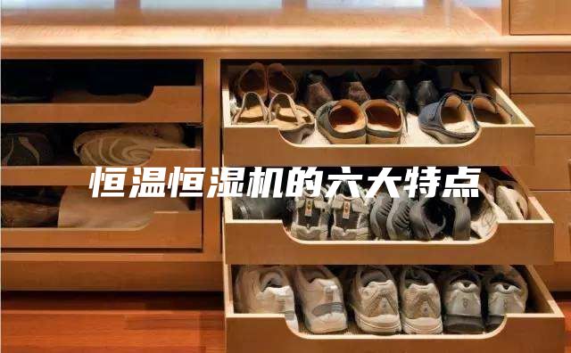 恒溫恒濕機(jī)的六大特點(diǎn)