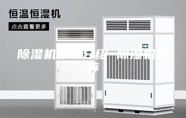 除濕機(jī)原理介紹 除濕機(jī)推薦