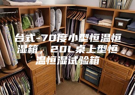 臺(tái)式-70度小型恒溫恒濕箱，20L桌上型恒溫恒濕試驗(yàn)箱