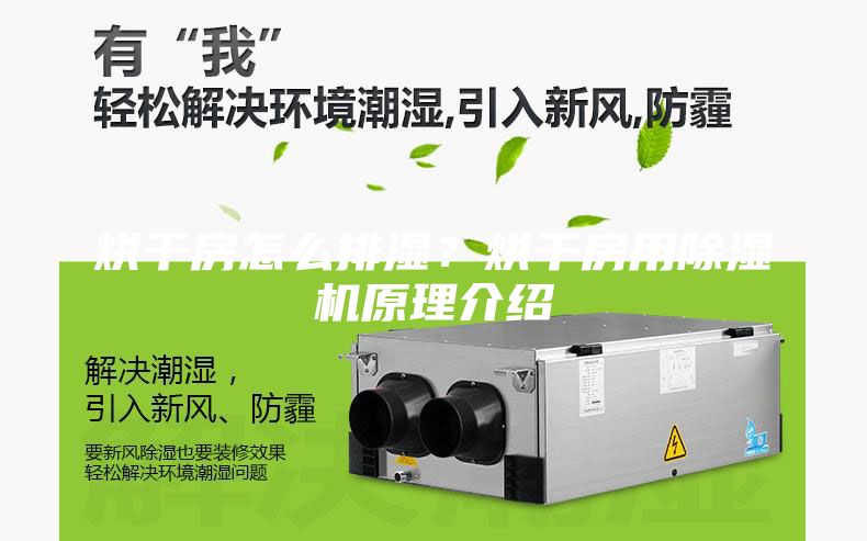 烘干房怎么排濕？烘干房用除濕機(jī)原理介紹