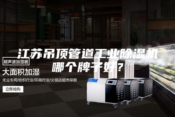 江蘇吊頂管道工業(yè)除濕機哪個牌子好？