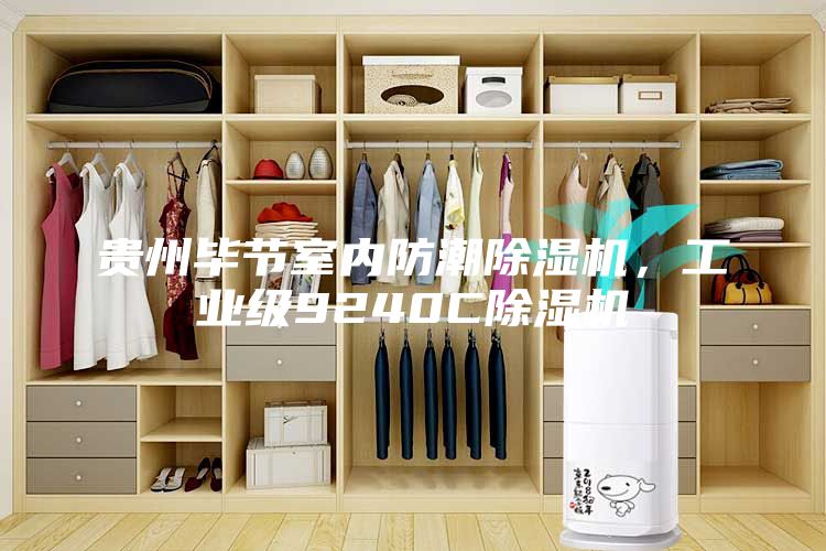 貴州畢節(jié)室內(nèi)防潮除濕機(jī)，工業(yè)級9240C除濕機(jī)