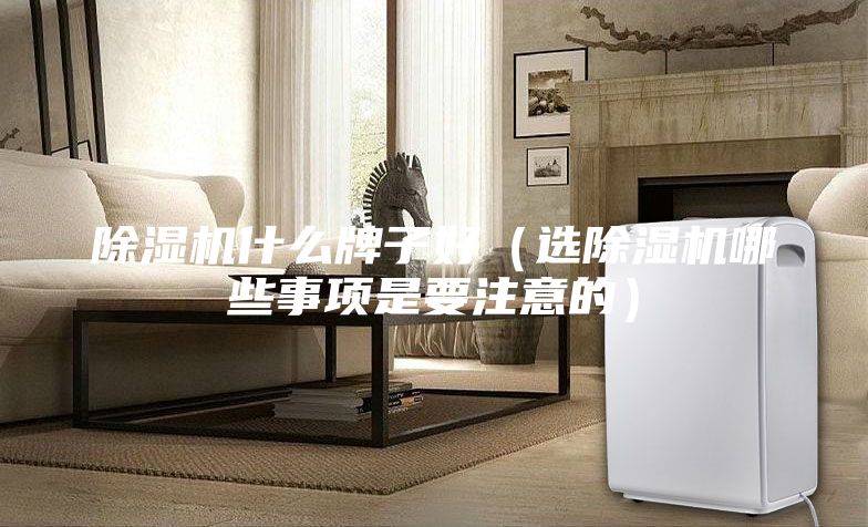 除濕機(jī)什么牌子好（選除濕機(jī)哪些事項是要注意的）