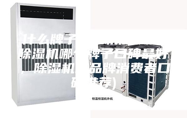 什么牌子除濕機質(zhì)量好(除濕機哪個牌子口碑最好，除濕機的品牌消費者口碑推薦)