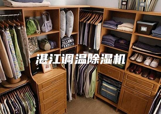 湛江調(diào)溫除濕機