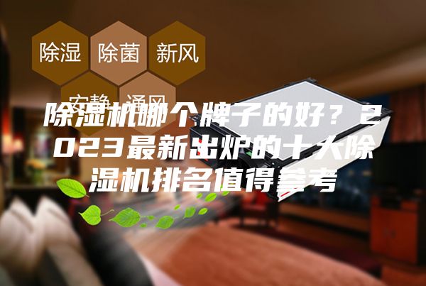 除濕機(jī)哪個牌子的好？2023最新出爐的十大除濕機(jī)排名值得參考