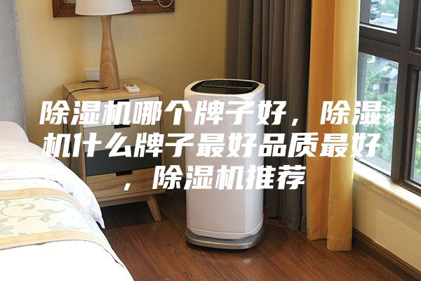 除濕機(jī)哪個牌子好，除濕機(jī)什么牌子最好品質(zhì)最好，除濕機(jī)推薦