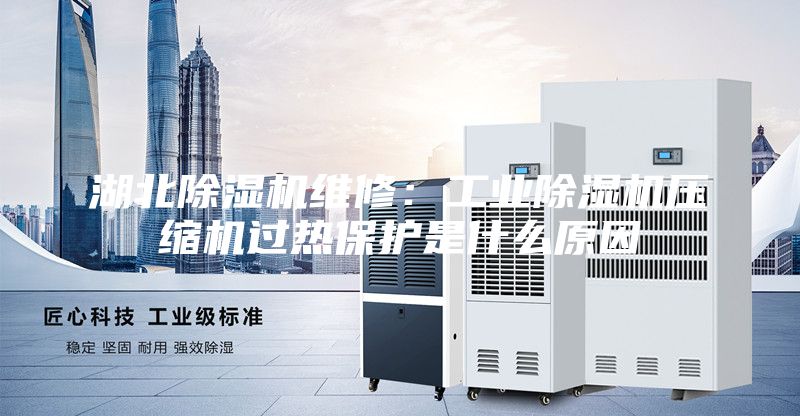 湖北除濕機維修：工業(yè)除濕機壓縮機過熱保護是什么原因
