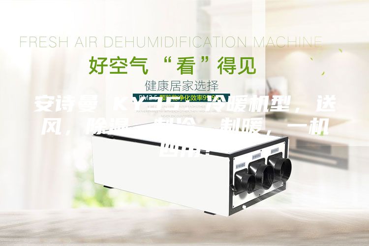 安詩曼 KY35：冷暖機型，送風，除濕，制冷，制暖，一機四用！
