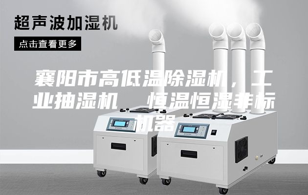 襄陽市高低溫除濕機(jī)，工業(yè)抽濕機(jī)  恒溫恒濕非標(biāo)機(jī)器
