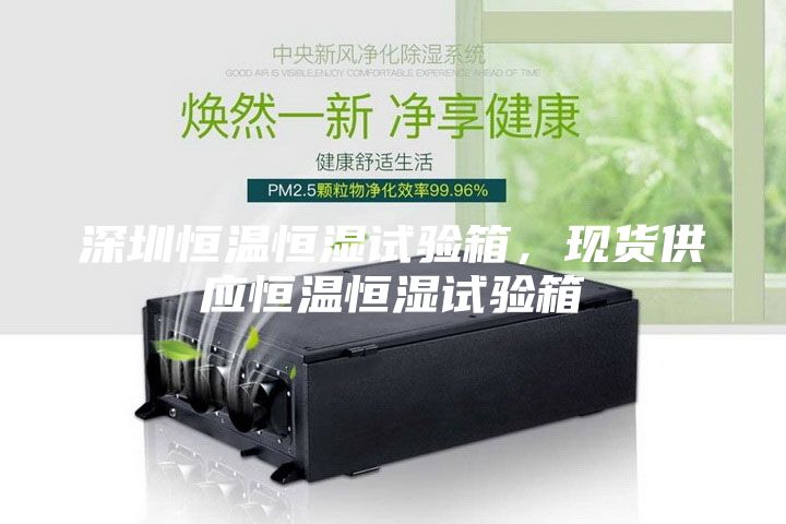 深圳恒溫恒濕試驗箱，現(xiàn)貨供應(yīng)恒溫恒濕試驗箱