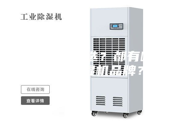 除濕機怎么選？都有哪些好的除濕機品牌？
