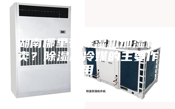 湖南哪里有除濕機(jī)加濕機(jī)賣？除濕機(jī)冷媒的主要作用