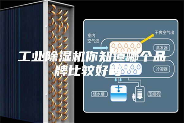 工業(yè)除濕機你知道哪個品牌比較好嗎？