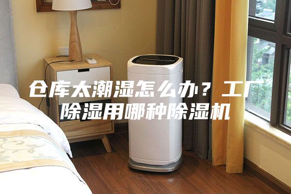 倉庫太潮濕怎么辦？工廠除濕用哪種除濕機