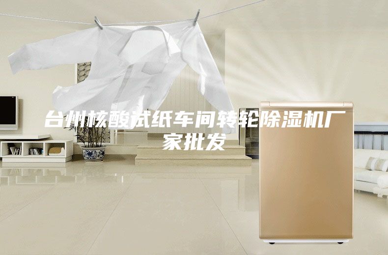 臺(tái)州核酸試紙車間轉(zhuǎn)輪除濕機(jī)廠家批發(fā)