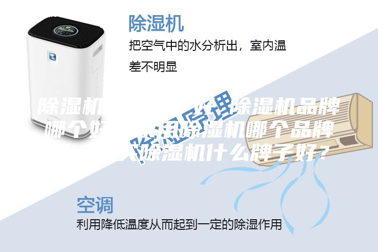 除濕機哪個牌子好 除濕機品牌哪個好？家用除濕機哪個品牌好，想買除濕機什么牌子好？