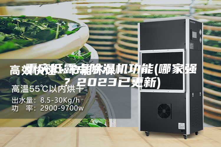 重慶低露點(diǎn)除濕機(jī)功能(哪家強(qiáng)？2023已更新)