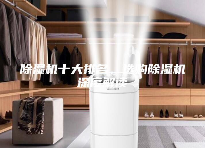 除濕機(jī)十大排名，選購除濕機(jī)深度解讀
