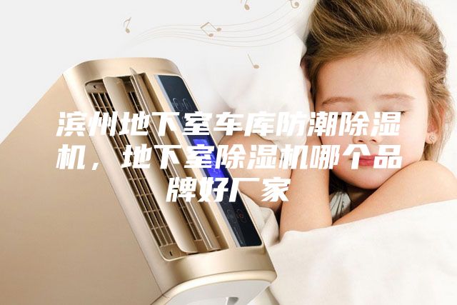 濱州地下室車庫(kù)防潮除濕機(jī)，地下室除濕機(jī)哪個(gè)品牌好廠家